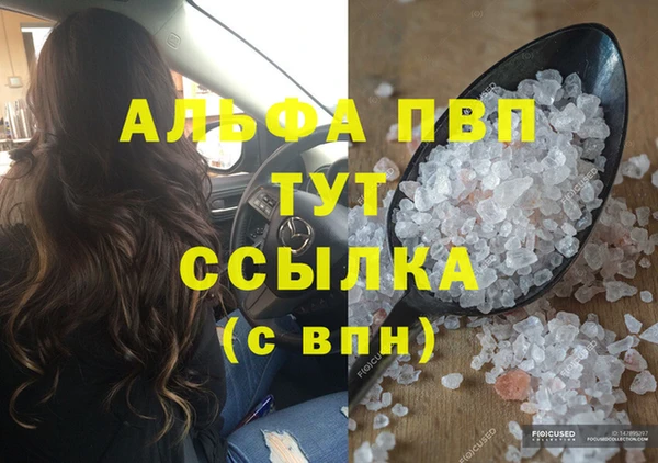 спиды Вяземский