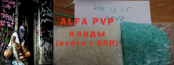 спиды Вяземский