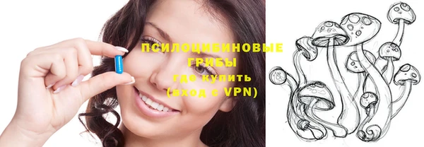 шишки Вязники