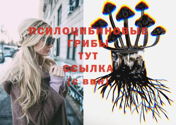 герыч Горнозаводск
