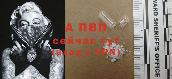 шишки Вязники