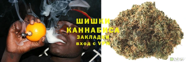 спиды Вяземский