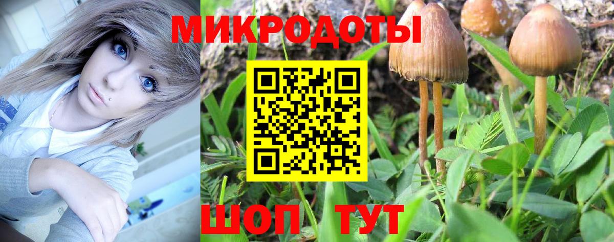 Псилоцибиновые грибы Psilocybe  Гуково 