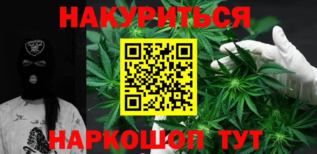 Каннабис сатива  Канабис White Widow  Канабис марихуана  Гуково 